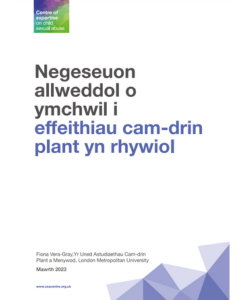 Negeseuon allweddol o ymchwil i effeithiau cam-drin plant yn rhywiol